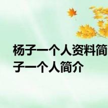 杨子一个人资料简介 杨子一个人简介