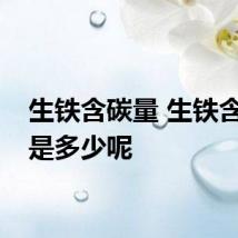 生铁含碳量 生铁含碳量是多少呢