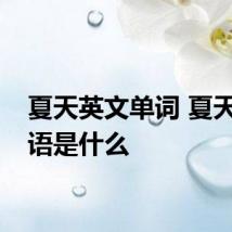 夏天英文单词 夏天的英语是什么