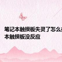 笔记本触摸板失灵了怎么办 笔记本触摸板没反应