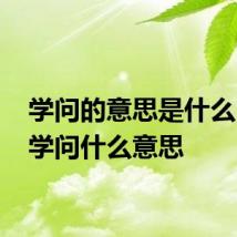 学问的意思是什么 词语学问什么意思