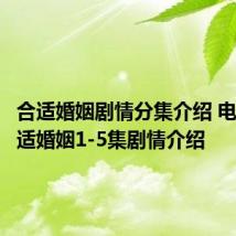 合适婚姻剧情分集介绍 电视剧合适婚姻1-5集剧情介绍