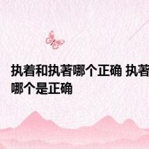 执着和执著哪个正确 执著和执着哪个是正确