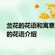 兰花的花语和寓意 兰花的花语介绍