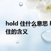 hold 住什么意思 hold 住的含义