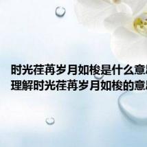 时光荏苒岁月如梭是什么意思 怎么理解时光荏苒岁月如梭的意思