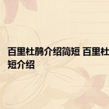 百里杜鹃介绍简短 百里杜鹃的简短介绍