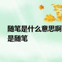 随笔是什么意思啊 什么是随笔