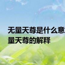 无量天尊是什么意思 无量天尊的解释