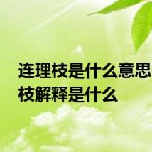 连理枝是什么意思 连理枝解释是什么
