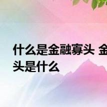 什么是金融寡头 金融寡头是什么