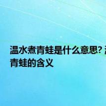 温水煮青蛙是什么意思? 温水煮青蛙的含义