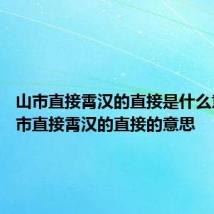 山市直接霄汉的直接是什么意思 山市直接霄汉的直接的意思
