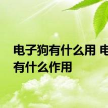 电子狗有什么用 电子狗有什么作用