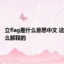 立flag是什么意思中文 这个是怎么解释的