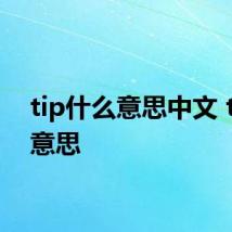 tip什么意思中文 tip的意思
