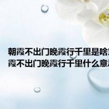 朝霞不出门晚霞行千里是啥意思 朝霞不出门晚霞行千里什么意思