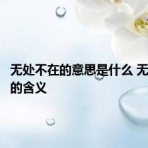 无处不在的意思是什么 无处不在的含义