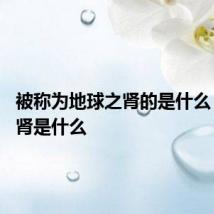 被称为地球之肾的是什么 地球之肾是什么