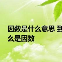因数是什么意思 到底什么是因数