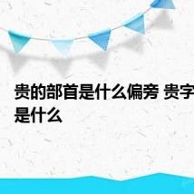 贵的部首是什么偏旁 贵字的偏旁是什么