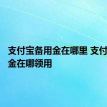 支付宝备用金在哪里 支付宝备用金在哪领用