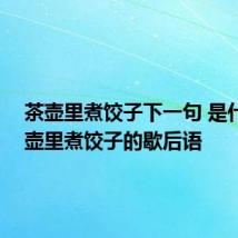 茶壶里煮饺子下一句 是什么 茶壶里煮饺子的歇后语