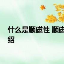 什么是顺磁性 顺磁性介绍