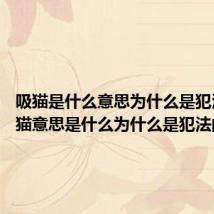 吸猫是什么意思为什么是犯法的 吸猫意思是什么为什么是犯法的