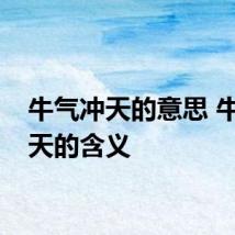 牛气冲天的意思 牛气冲天的含义
