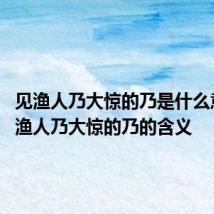 见渔人乃大惊的乃是什么意思 见渔人乃大惊的乃的含义