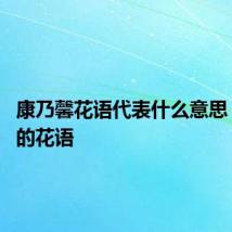 康乃馨花语代表什么意思 康乃馨的花语