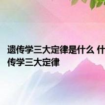 遗传学三大定律是什么 什么是遗传学三大定律