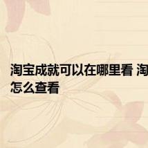 淘宝成就可以在哪里看 淘宝成就怎么查看