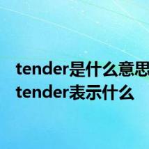 tender是什么意思中文 tender表示什么