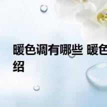 暖色调有哪些 暖色系介绍