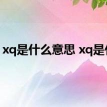 xq是什么意思 xq是什么