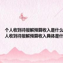 个人收到待报解预算收入是什么意思 个人收到待报解预算收入具体是什么意思