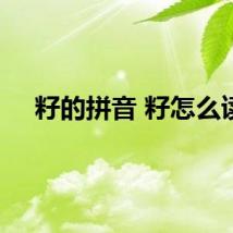 籽的拼音 籽怎么读
