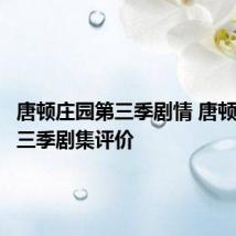 唐顿庄园第三季剧情 唐顿庄园第三季剧集评价