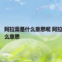 阿拉蕾是什么意思呢 阿拉蕾是什么意思
