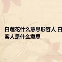 白莲花什么意思形容人 白莲花形容人是什么意思