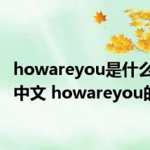 howareyou是什么意思中文 howareyou的含义