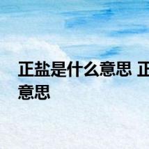 正盐是什么意思 正盐的意思