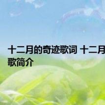十二月的奇迹歌词 十二月的奇迹歌简介