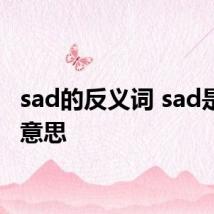 sad的反义词 sad是什么意思