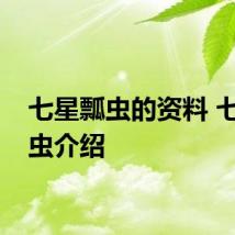 七星瓢虫的资料 七星瓢虫介绍
