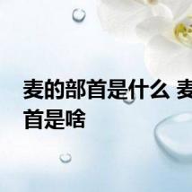 麦的部首是什么 麦的部首是啥