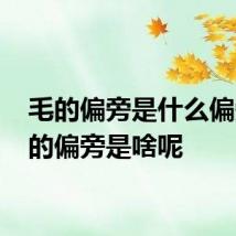 毛的偏旁是什么偏旁 毛的偏旁是啥呢