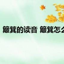 簸箕的读音 簸箕怎么读